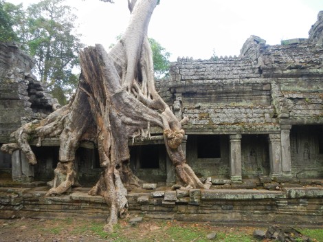  Preah Khan, Angkor Wat, Cambodia