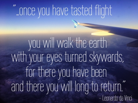 travel quote da Vinci